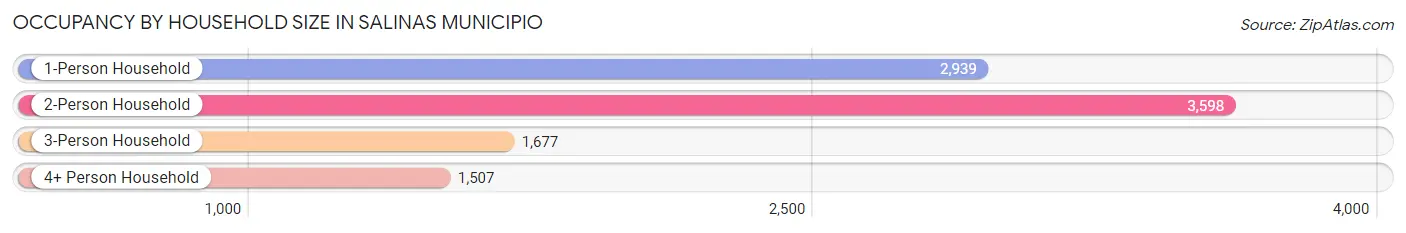 Occupancy by Household Size in Salinas Municipio