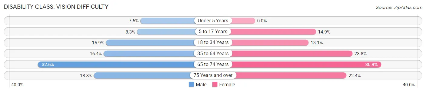 Disability in Salinas Municipio: <span>Vision Difficulty</span>