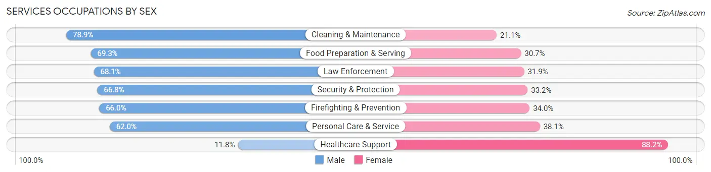 Services Occupations by Sex in San Lorenzo Municipio