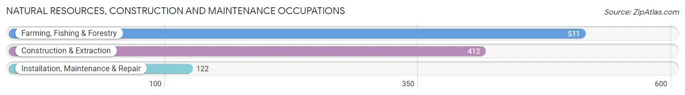 Natural Resources, Construction and Maintenance Occupations in Santa Isabel Municipio