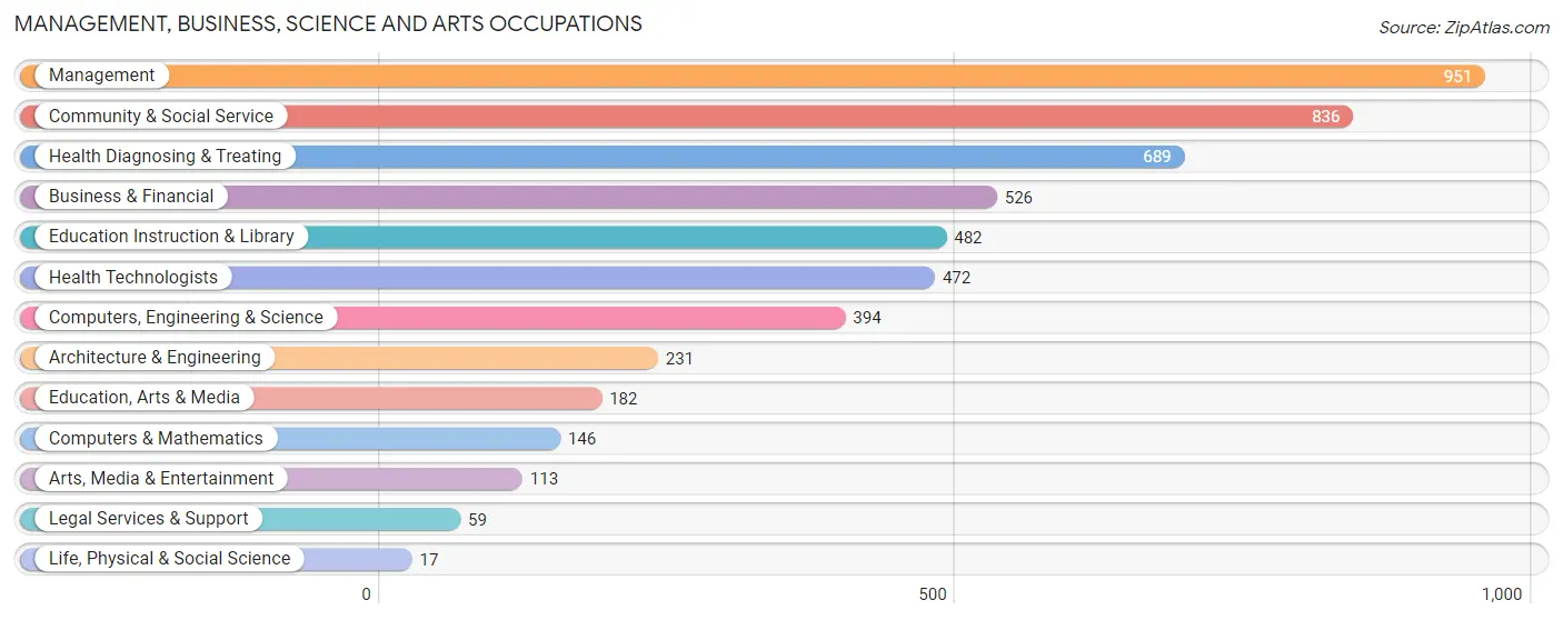 Management, Business, Science and Arts Occupations in Vega Alta Municipio