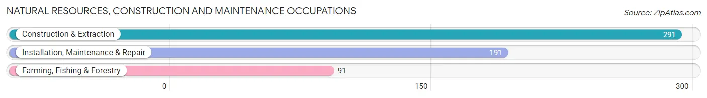 Natural Resources, Construction and Maintenance Occupations in Yauco Municipio