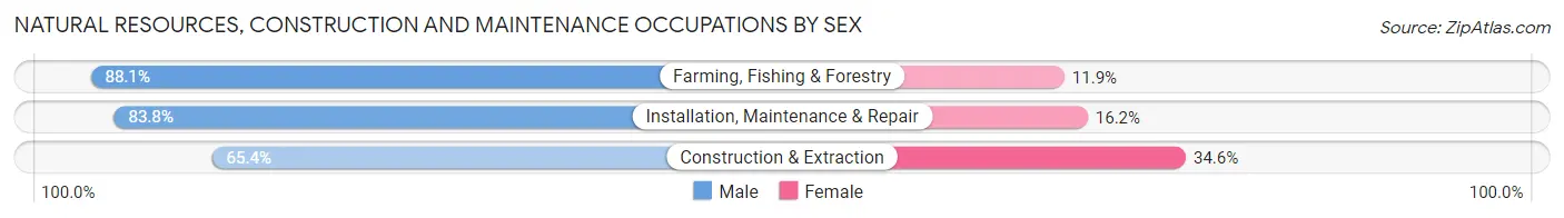 Natural Resources, Construction and Maintenance Occupations by Sex in Bamberg County