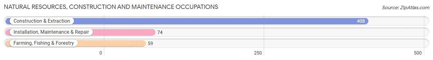 Natural Resources, Construction and Maintenance Occupations in Bamberg County