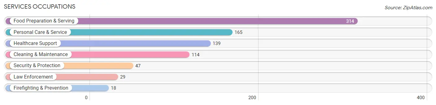 Services Occupations in Bamberg County