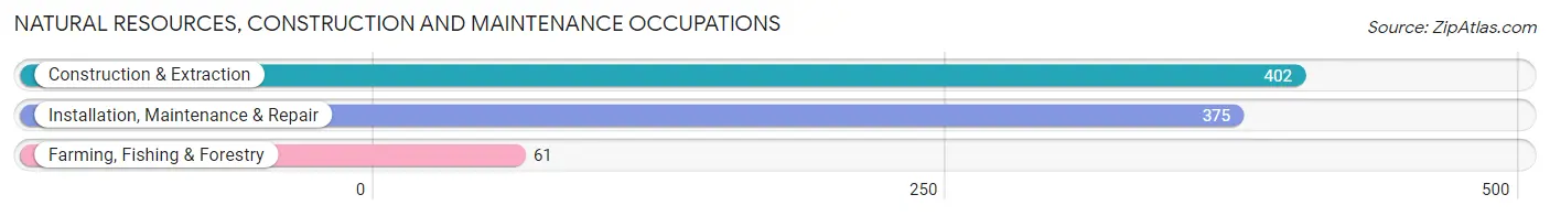 Natural Resources, Construction and Maintenance Occupations in Barnwell County