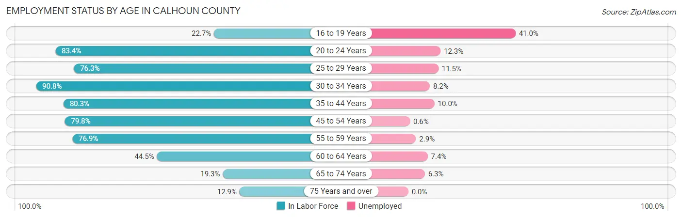 Employment Status by Age in Calhoun County