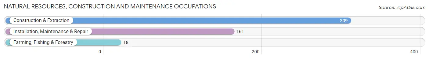 Natural Resources, Construction and Maintenance Occupations in Calhoun County