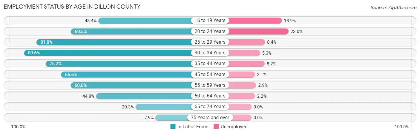 Employment Status by Age in Dillon County