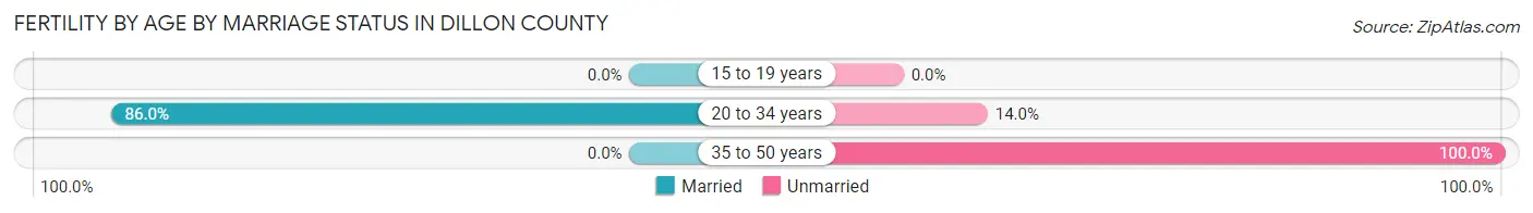 Female Fertility by Age by Marriage Status in Dillon County