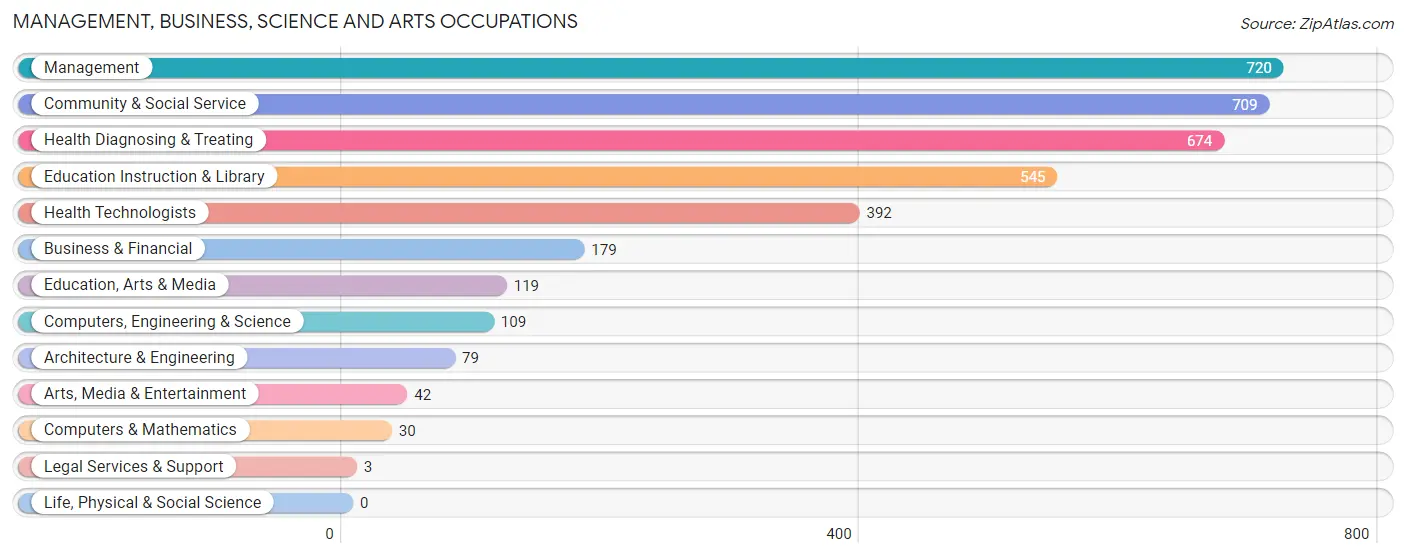 Management, Business, Science and Arts Occupations in Dillon County