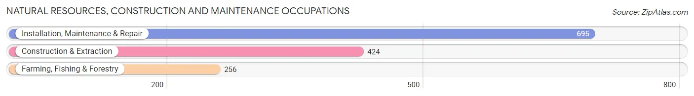 Natural Resources, Construction and Maintenance Occupations in Dillon County