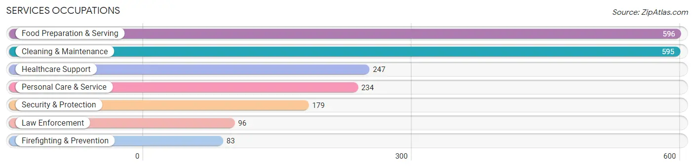 Services Occupations in Dillon County