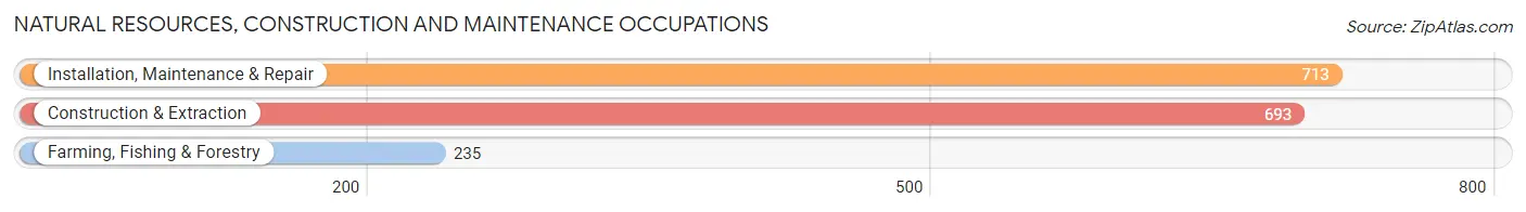 Natural Resources, Construction and Maintenance Occupations in Edgefield County