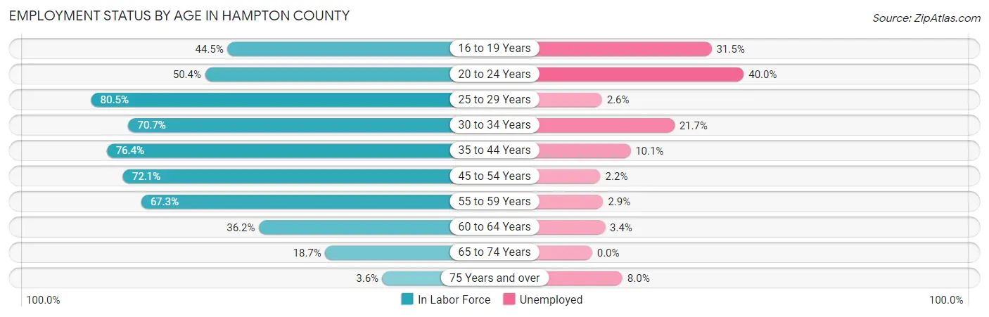 Employment Status by Age in Hampton County