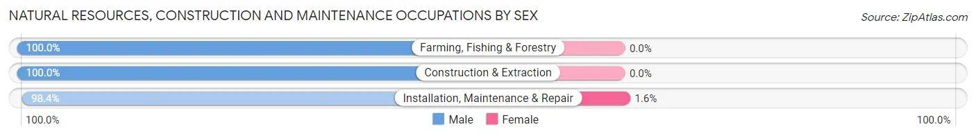 Natural Resources, Construction and Maintenance Occupations by Sex in Hampton County