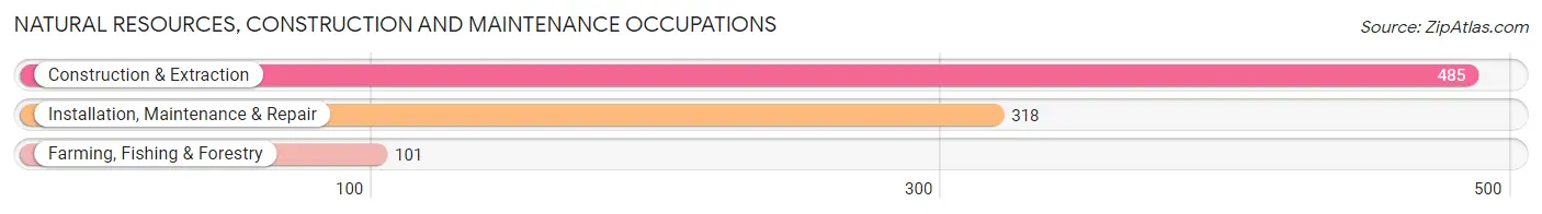 Natural Resources, Construction and Maintenance Occupations in Hampton County