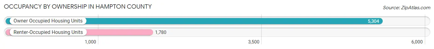 Occupancy by Ownership in Hampton County