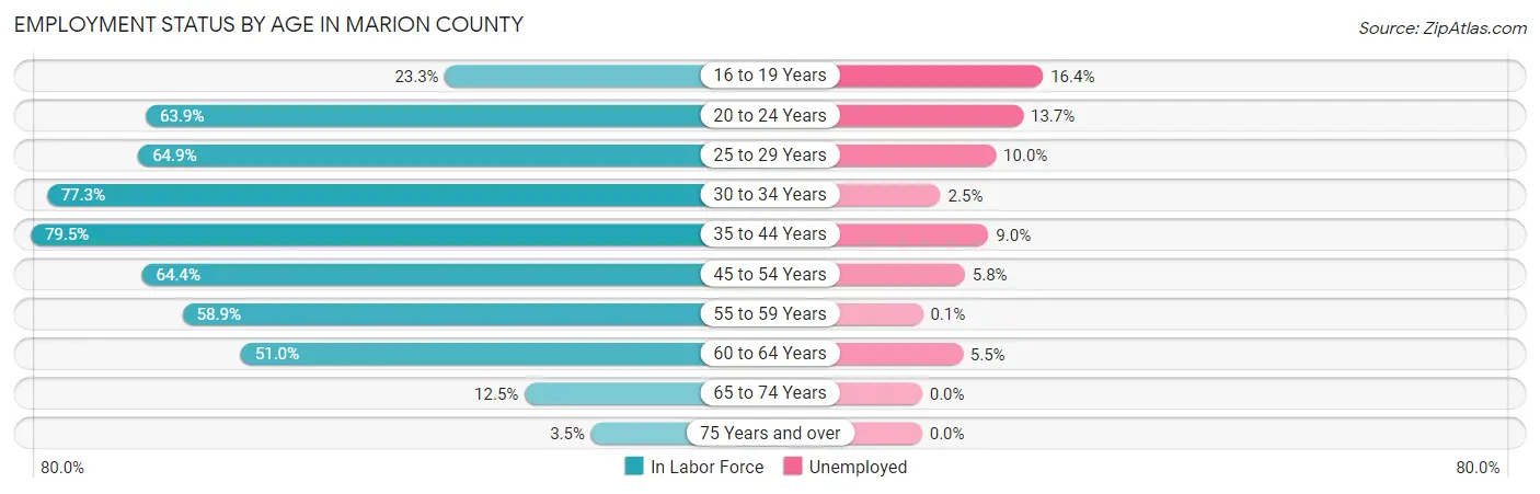 Employment Status by Age in Marion County