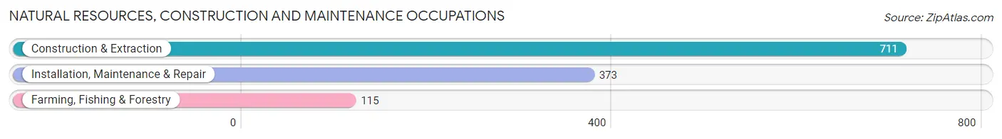 Natural Resources, Construction and Maintenance Occupations in Marion County