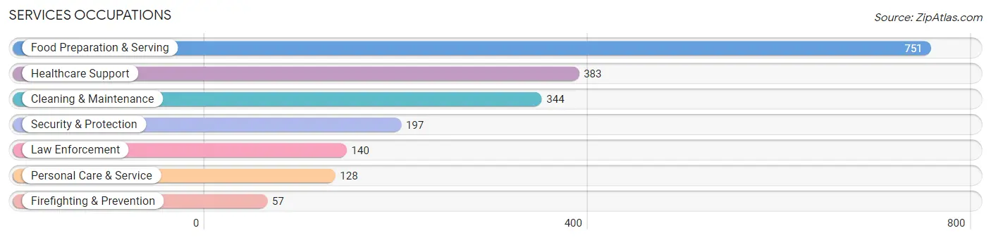 Services Occupations in Marion County