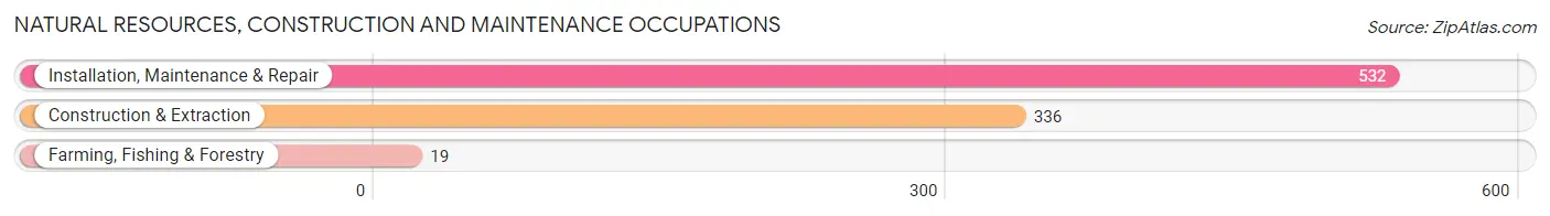 Natural Resources, Construction and Maintenance Occupations in Marlboro County