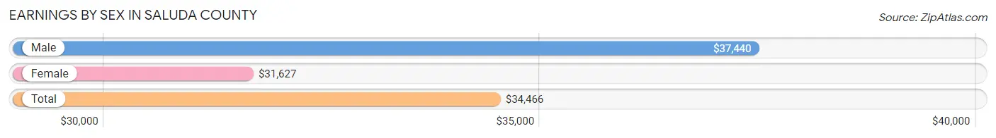 Earnings by Sex in Saluda County