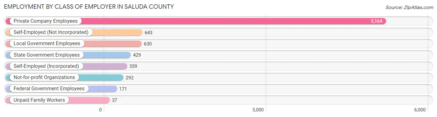 Employment by Class of Employer in Saluda County