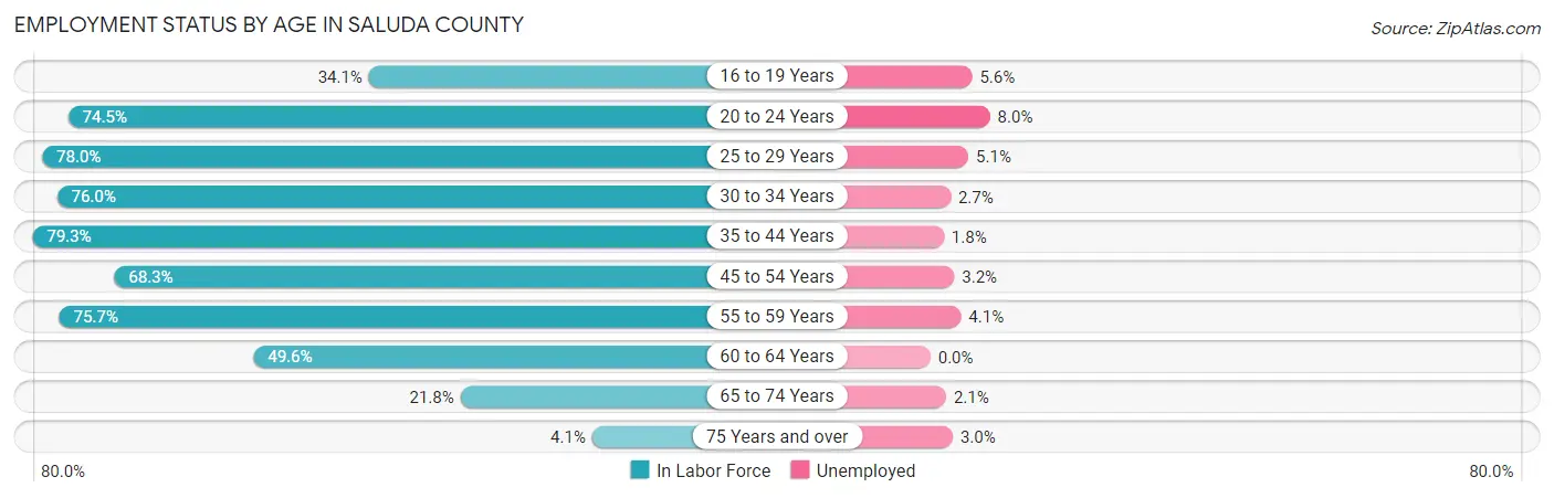 Employment Status by Age in Saluda County