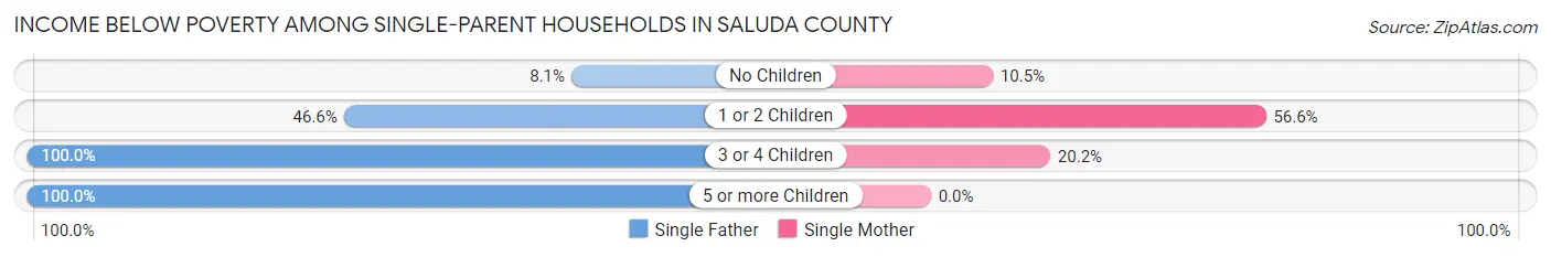 Income Below Poverty Among Single-Parent Households in Saluda County