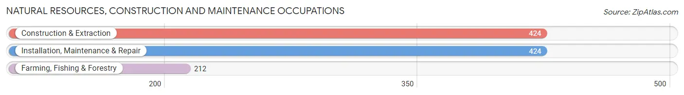 Natural Resources, Construction and Maintenance Occupations in Saluda County