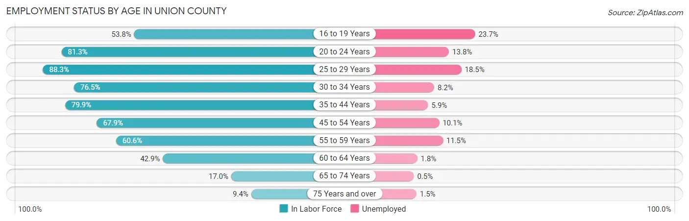 Employment Status by Age in Union County