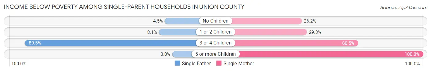 Income Below Poverty Among Single-Parent Households in Union County