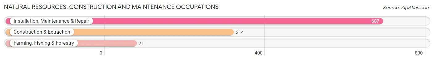 Natural Resources, Construction and Maintenance Occupations in Union County