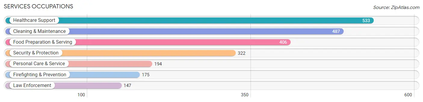 Services Occupations in Union County