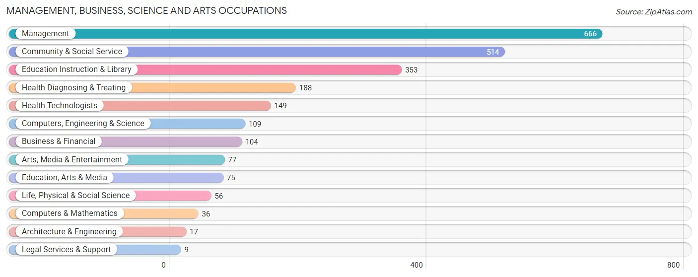 Management, Business, Science and Arts Occupations in Charles Mix County