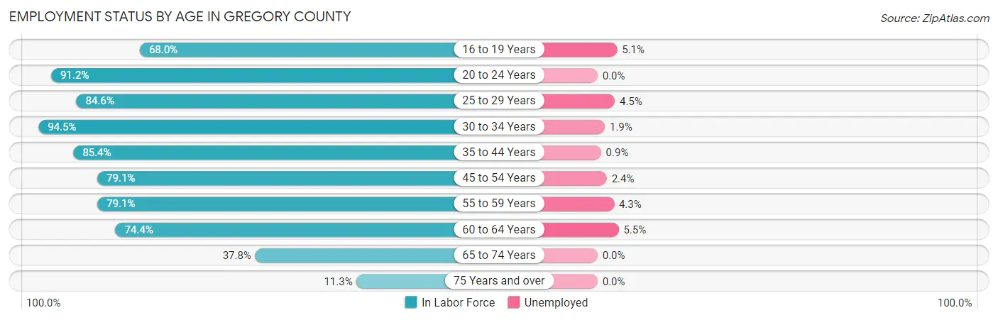 Employment Status by Age in Gregory County
