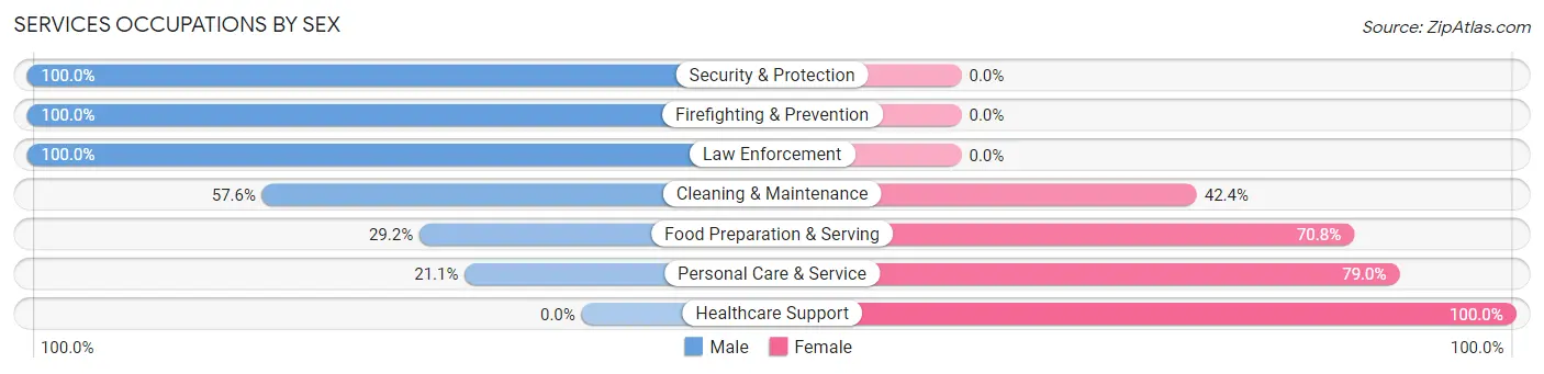 Services Occupations by Sex in Hanson County