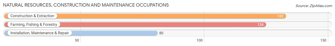 Natural Resources, Construction and Maintenance Occupations in Kingsbury County
