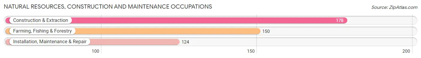 Natural Resources, Construction and Maintenance Occupations in McCook County