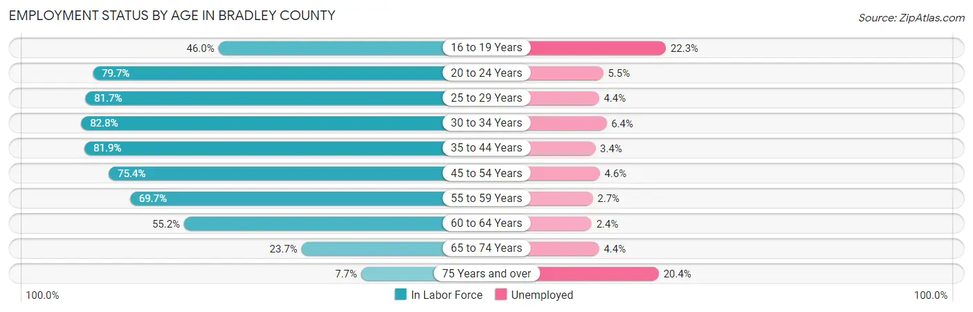 Employment Status by Age in Bradley County