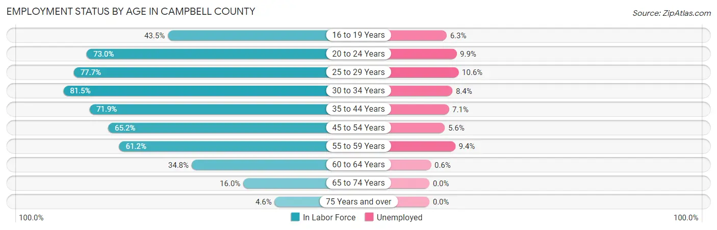 Employment Status by Age in Campbell County