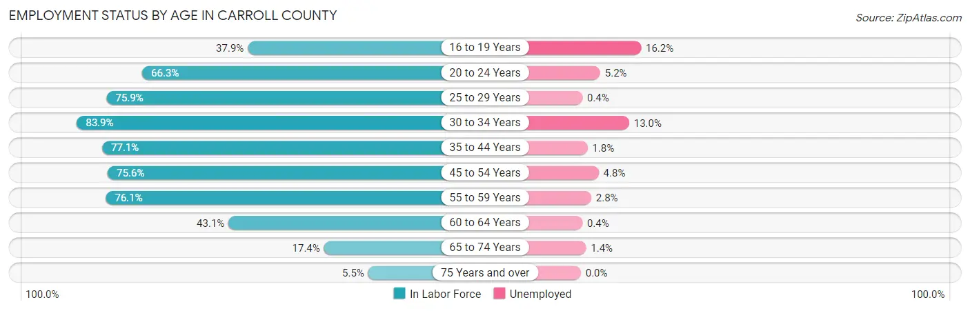 Employment Status by Age in Carroll County