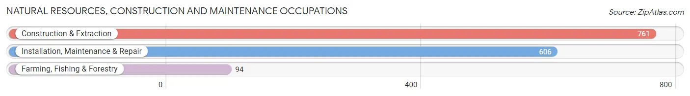 Natural Resources, Construction and Maintenance Occupations in Carroll County