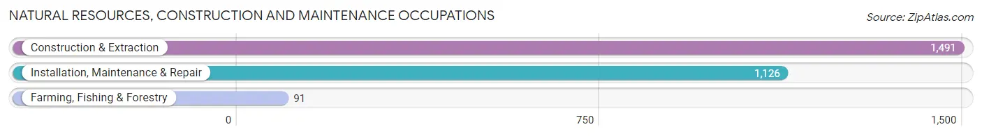 Natural Resources, Construction and Maintenance Occupations in Cheatham County