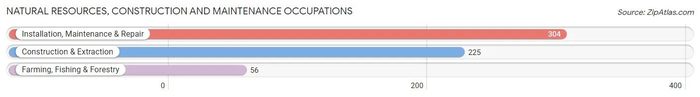 Natural Resources, Construction and Maintenance Occupations in Chester County