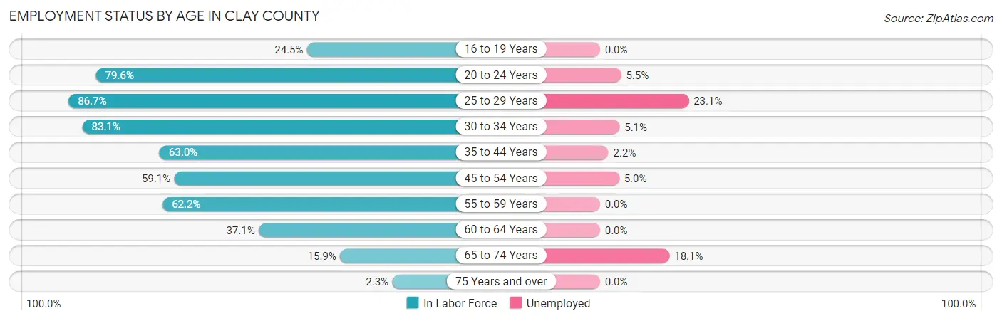 Employment Status by Age in Clay County