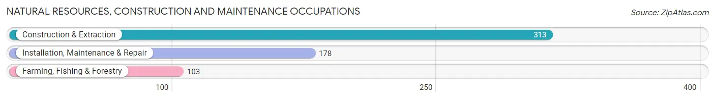 Natural Resources, Construction and Maintenance Occupations in Clay County