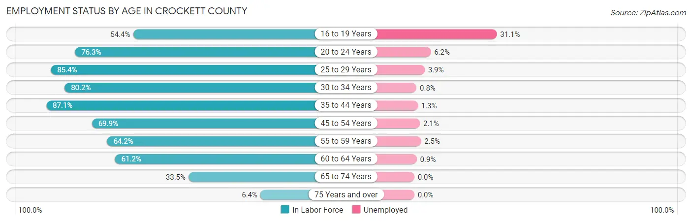 Employment Status by Age in Crockett County