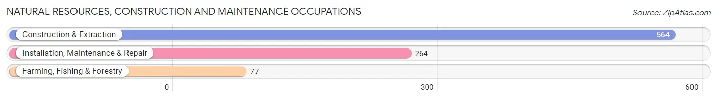 Natural Resources, Construction and Maintenance Occupations in Crockett County